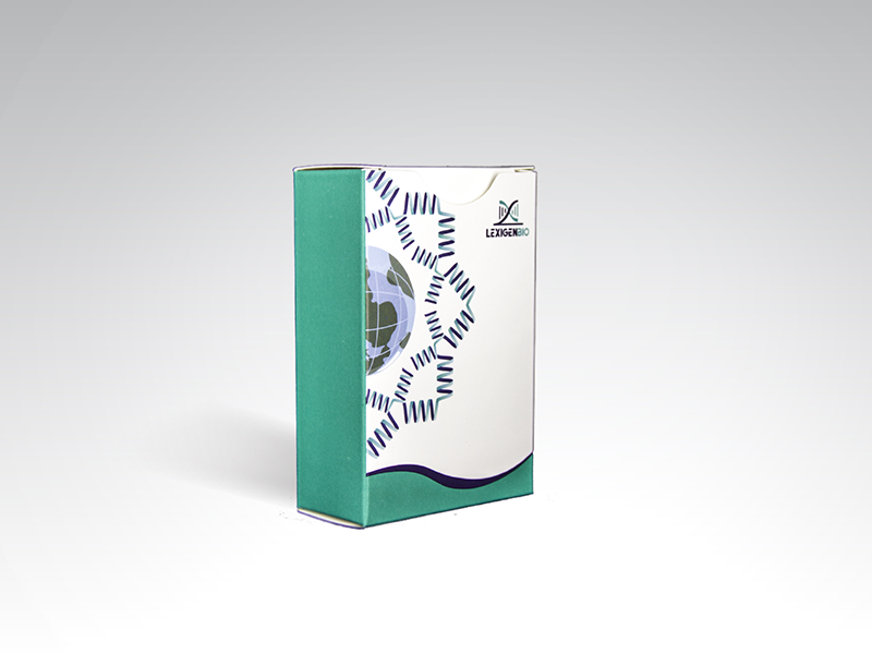 97c37eaa-565d-484e-8512-f0aca9711506