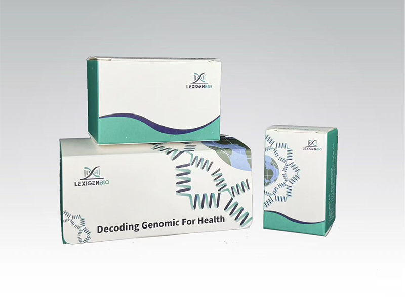 afb97449-9c0a-4c41-b493-fe7ce18c1276